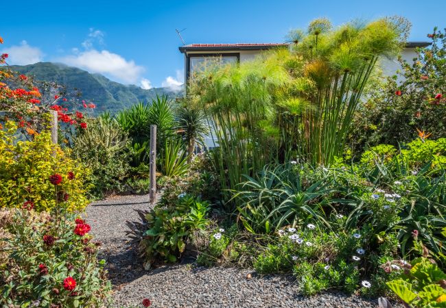 Apartment in São Vicente - Landure Baixo by Madeira Sun Travel Apartment in São Vicente - Landure Baixo by Madeira Sun Travel