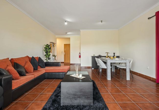 House in Ponta Delgada - Palm Tree House by Madeira Sun Travel House in Ponta Delgada - Palm Tree House by Madeira Sun Travel