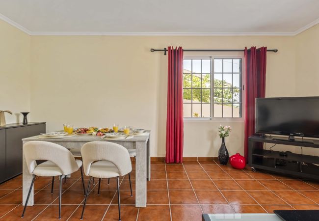 House in Ponta Delgada - Palm Tree House by Madeira Sun Travel House in Ponta Delgada - Palm Tree House by Madeira Sun Travel