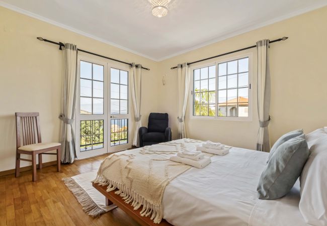 House in Ponta Delgada - Palm Tree House by Madeira Sun Travel House in Ponta Delgada - Palm Tree House by Madeira Sun Travel