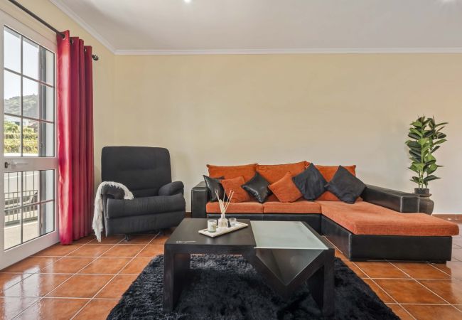 House in Ponta Delgada - Palm Tree House by Madeira Sun Travel House in Ponta Delgada - Palm Tree House by Madeira Sun Travel