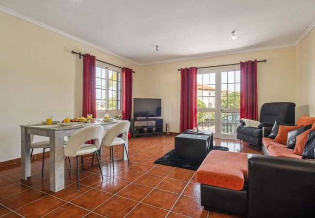 House in Ponta Delgada - Palm Tree House by Madeira Sun Travel House in Ponta Delgada - Palm Tree House by Madeira Sun Travel