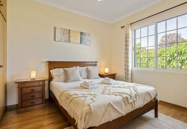 House in Ponta Delgada - Palm Tree House by Madeira Sun Travel House in Ponta Delgada - Palm Tree House by Madeira Sun Travel