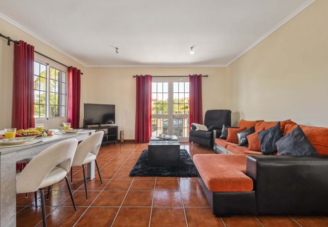 House in Ponta Delgada - Palm Tree House by Madeira Sun Travel House in Ponta Delgada - Palm Tree House by Madeira Sun Travel