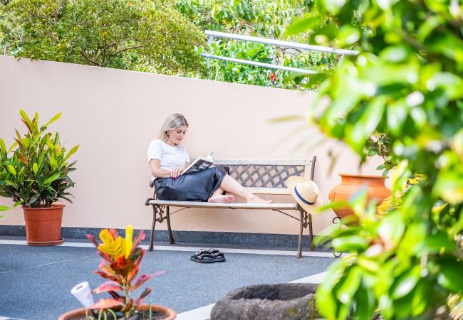 House in Ponta Delgada - Palm Tree House by Madeira Sun Travel House in Ponta Delgada - Palm Tree House by Madeira Sun Travel