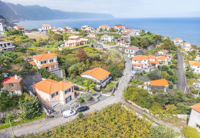 House in Ponta Delgada - Palm Tree House by Madeira Sun Travel House in Ponta Delgada - Palm Tree House by Madeira Sun Travel