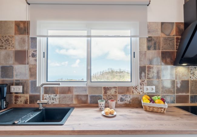 Cottage in Porto Moniz - Palheiro Simone by Homie Cottage in Porto Moniz - Palheiro Simone by Homie